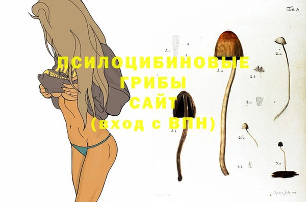 хмурый Касимов