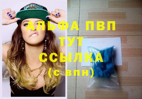 хмурый Касимов