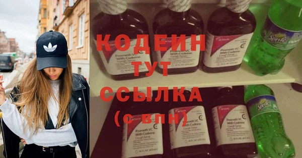 хмурый Касимов